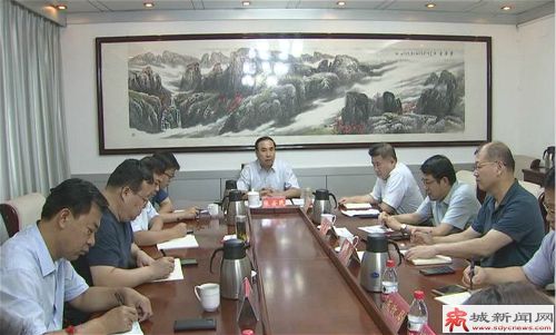 禹城市召开松果新能源汽车产业园项目推进会议